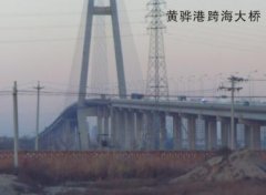 萝卜视频成人APP下载案例